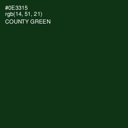 #0E3315 - County Green Color Image